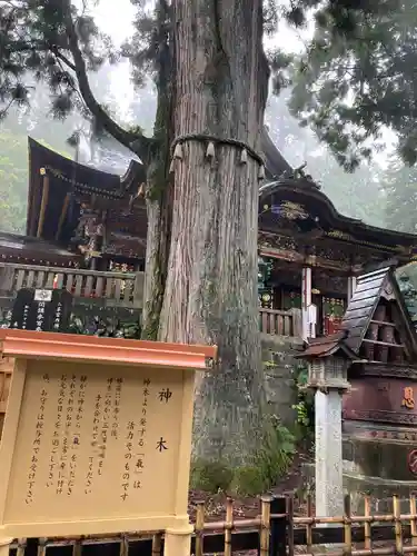 三峯神社(埼玉県)