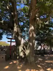 岩屋神社(兵庫県)