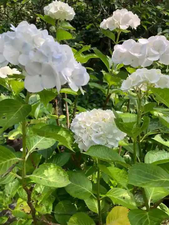 佛日庵(神奈川県)