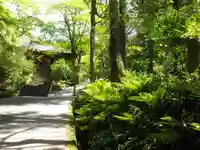 妙本寺の庭園