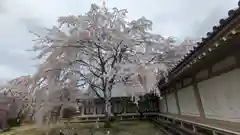 醍醐寺(京都府)