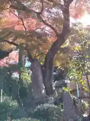 室泉寺(東京都)