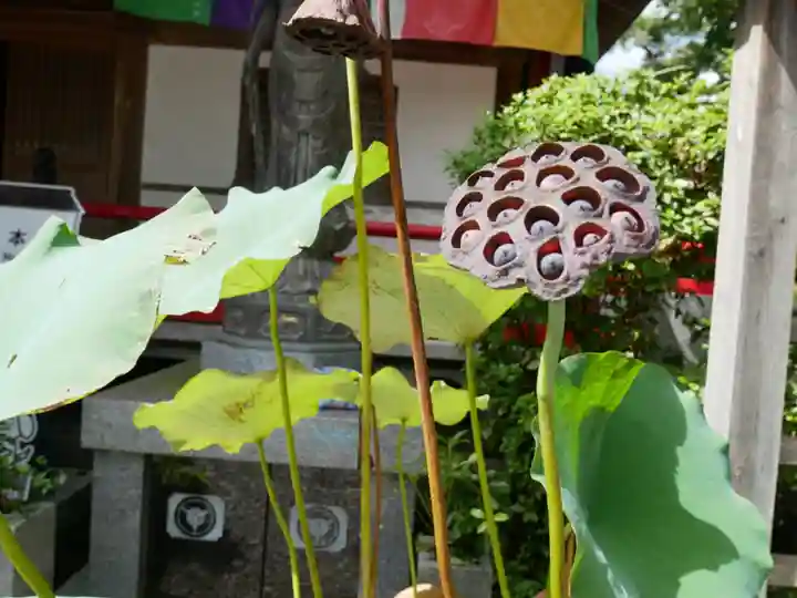 岩本寺(高知県)