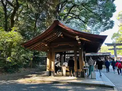 明治神宮(東京都)