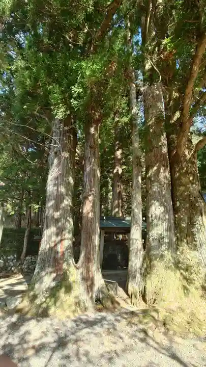 水無神社(長野県)