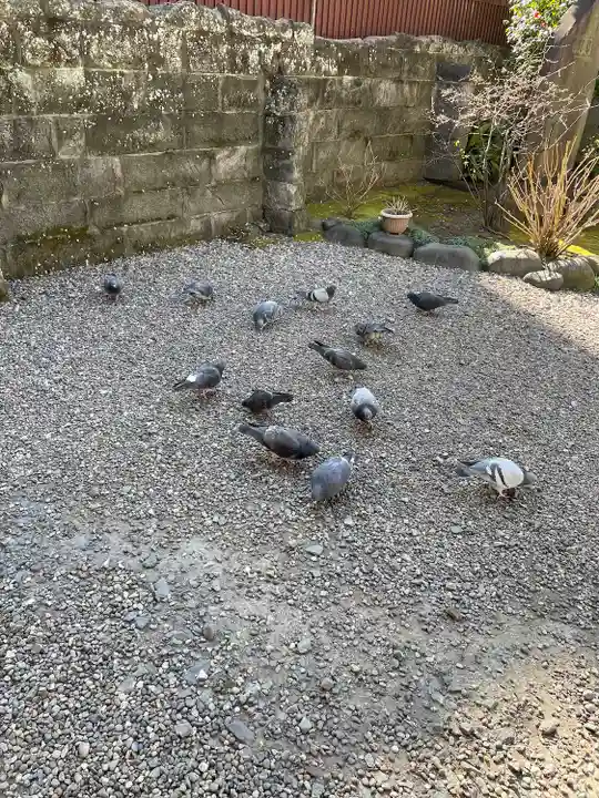 鎮護堂(東京都)