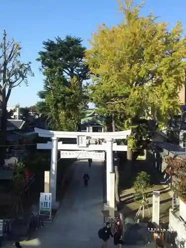 亀有香取神社の鳥居