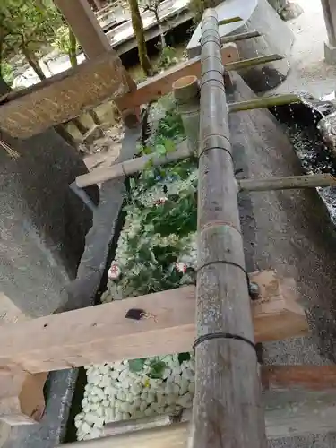 賀茂別雷神社（上賀茂神社）の手水舎