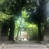 小金井神社の鳥居