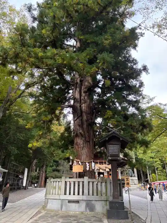 諏訪大社下社秋宮(長野県)