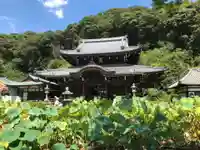 三室戸寺の景色