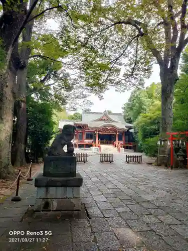 武蔵野八幡宮の狛犬