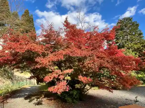 柳谷観音　楊谷寺(京都府)