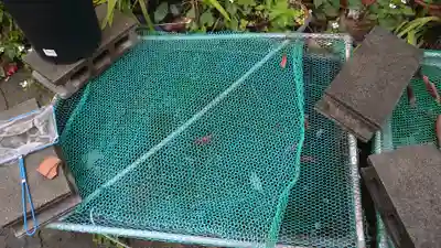 西法寺(大阪府)