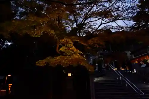 大山阿夫利神社のその他建物