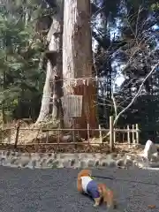 白鳥神社の自然