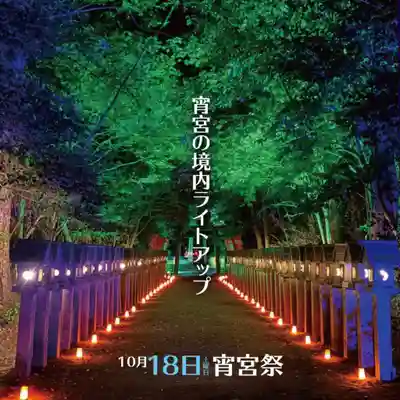村屋坐弥冨都比売神社(奈良県)
