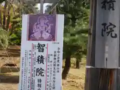  智積院の御朱印