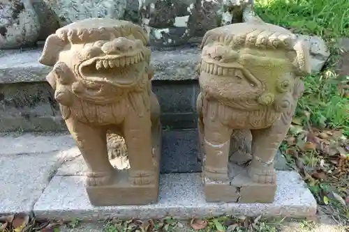 洲本八幡神社の狛犬