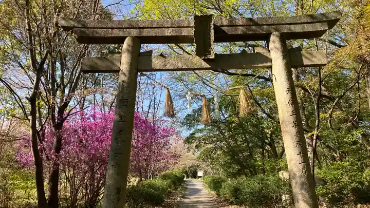 吉備津岡辛木神社(岡山県)