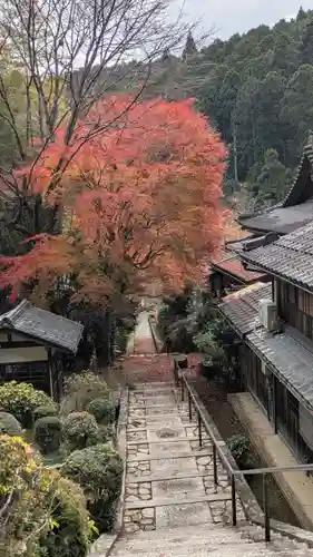 高倉天皇皇后　大原西陵(京都府)