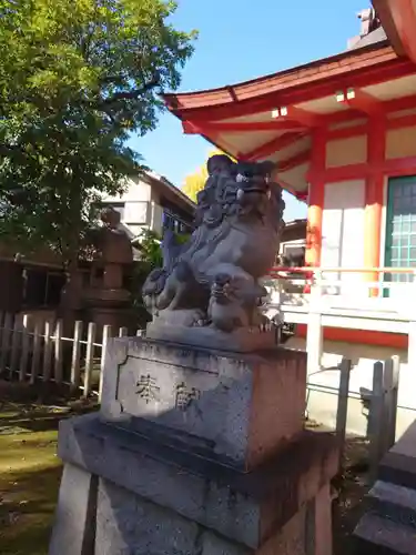 戸部杉山神社の狛犬