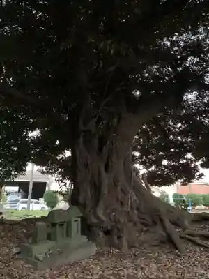 十二神社(千葉県)