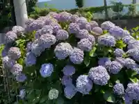 最勝寺教学院の自然