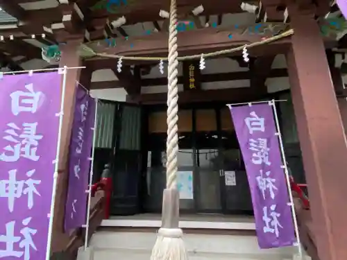 白髭神社の本殿・本堂