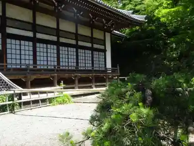 妙蓮寺のその他建物