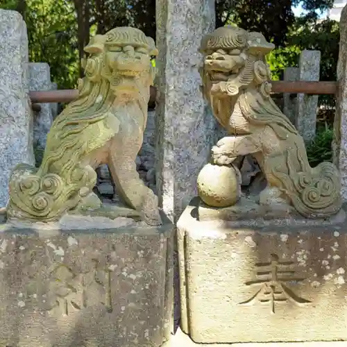 菊田神社の狛犬