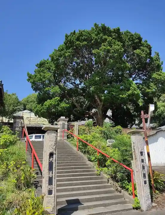大善院(観蓮寺大善院)のその他建物