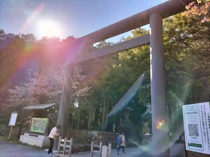 北海道神宮の鳥居