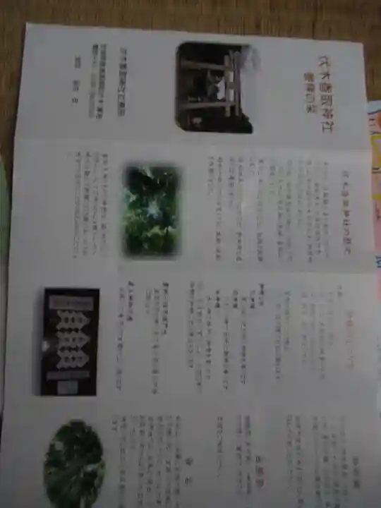 伏木香取神社(茨城県)