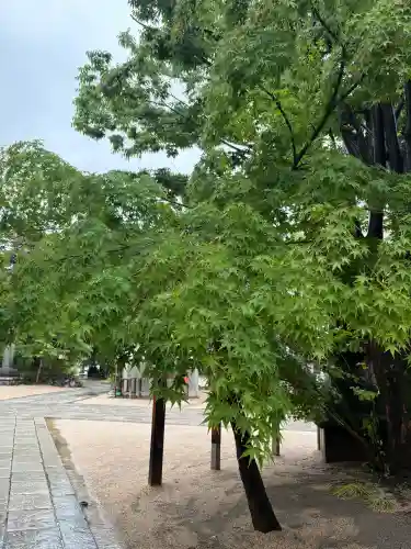四柱神社(長野県)