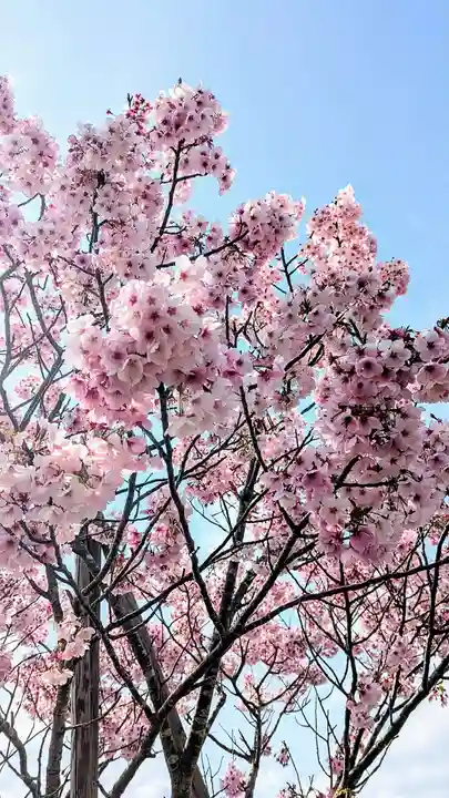 七百餘所神社 の自然