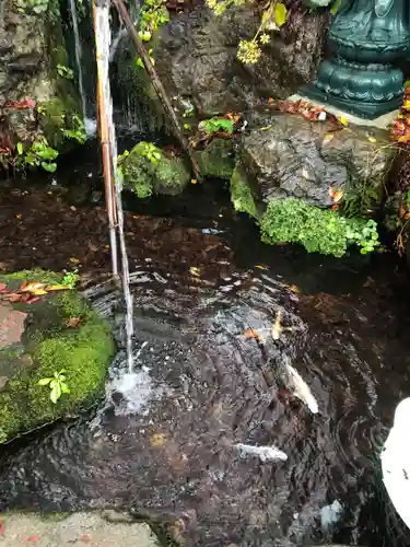 秩父今宮神社の庭園