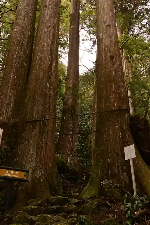 横倉宮(高知県)