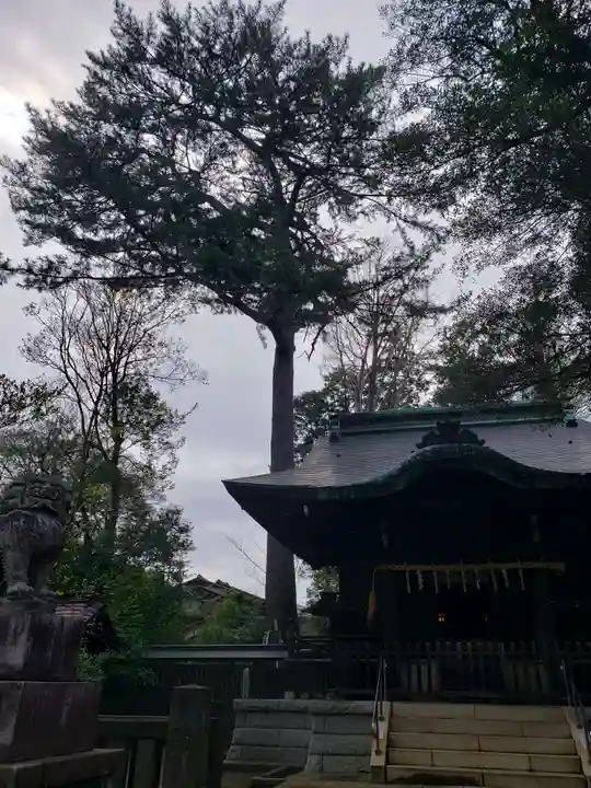 熊野神社(東京都)