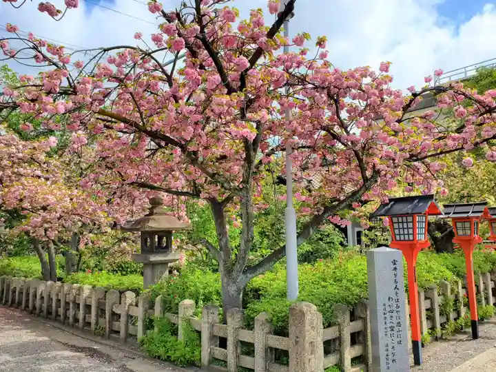 六孫王神社の自然
