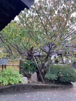 清岸寺(東京都)