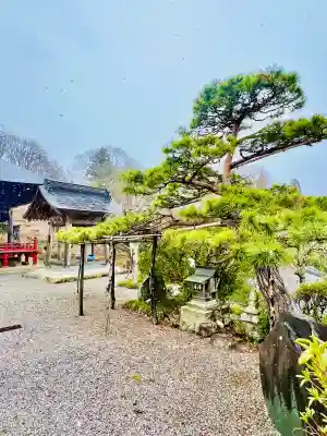 音楽寺の{uncategorized: "未分類", other: "その他", undefined: "問題あり", building: "その他建物", grave: "お墓", sacred_gate: "鳥居", guardian: "狛犬", statue: "像", buddha: "仏像", history: "歴史", nature: "自然", garden: "庭園", animal: "動物", pagoda: "塔", temizu: "手水舎", mountain_gate: "山門・神門", sanctuary: "本殿・本堂", subordinate: "末社・摂社", art: "芸術", scenery: "景色", jizo: "地蔵", ema: "絵馬", goshuin: "御朱印", omikuji: "おみくじ", items: "授与品その他", amulet: "お守り", goshuincho: "御朱印帳", eats: "食事", festival: "お祭り", votive_dance: "神楽", shichigosan: "七五三参", wedding: "結婚式", experience: "体験その他", initially: "初詣", around: "周辺", anti_infection: "感染症対策"}