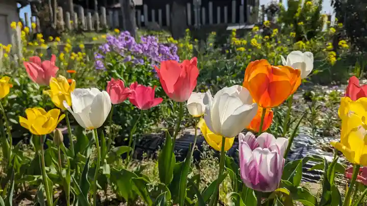 玉田神社(京都府)