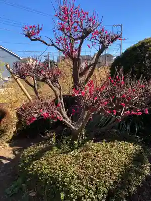極楽寺(神奈川県)