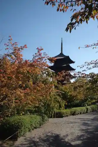 東寺（教王護国寺）の庭園