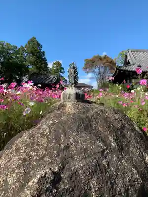 般若寺 ❁﻿コスモス寺❁(奈良県)