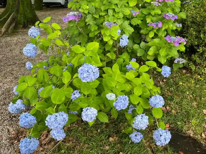御裳神社(愛知県)