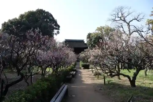道明寺天満宮の{uncategorized: "未分類", other: "その他", undefined: "問題あり", building: "その他建物", grave: "お墓", sacred_gate: "鳥居", guardian: "狛犬", statue: "像", buddha: "仏像", history: "歴史", nature: "自然", garden: "庭園", animal: "動物", pagoda: "塔", temizu: "手水舎", mountain_gate: "山門・神門", sanctuary: "本殿・本堂", subordinate: "末社・摂社", art: "芸術", scenery: "景色", jizo: "地蔵", ema: "絵馬", goshuin: "御朱印", omikuji: "おみくじ", items: "授与品その他", amulet: "お守り", goshuincho: "御朱印帳", eats: "食事", festival: "お祭り", votive_dance: "神楽", shichigosan: "七五三参", wedding: "結婚式", experience: "体験その他", initially: "初詣", around: "周辺", anti_infection: "感染症対策"}