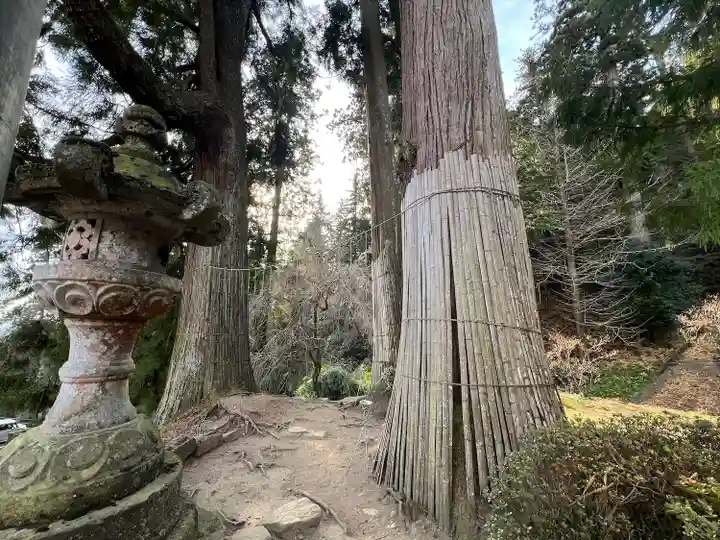 妙義神社(群馬県)