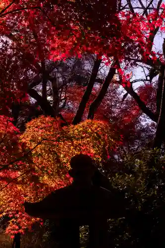 宇治上神社(京都府)